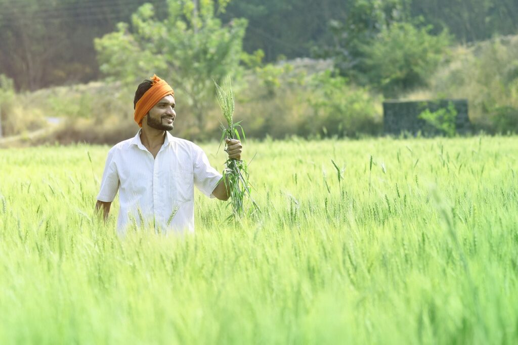 man, agriculture, farmer-6660386.jpg